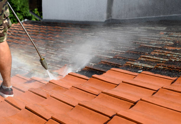 Roof Power Washing Services in Medina, TX