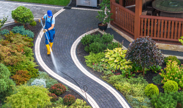 Best Affordable Power Washing  in Medina, TX